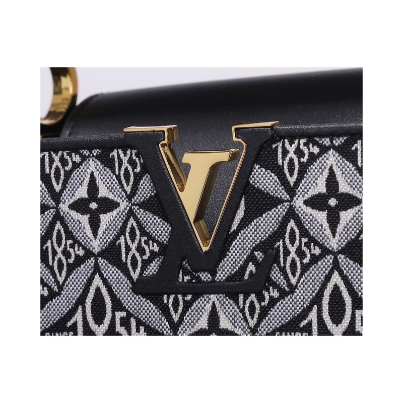 Louis Vuitton Capucines Monogram Bag
