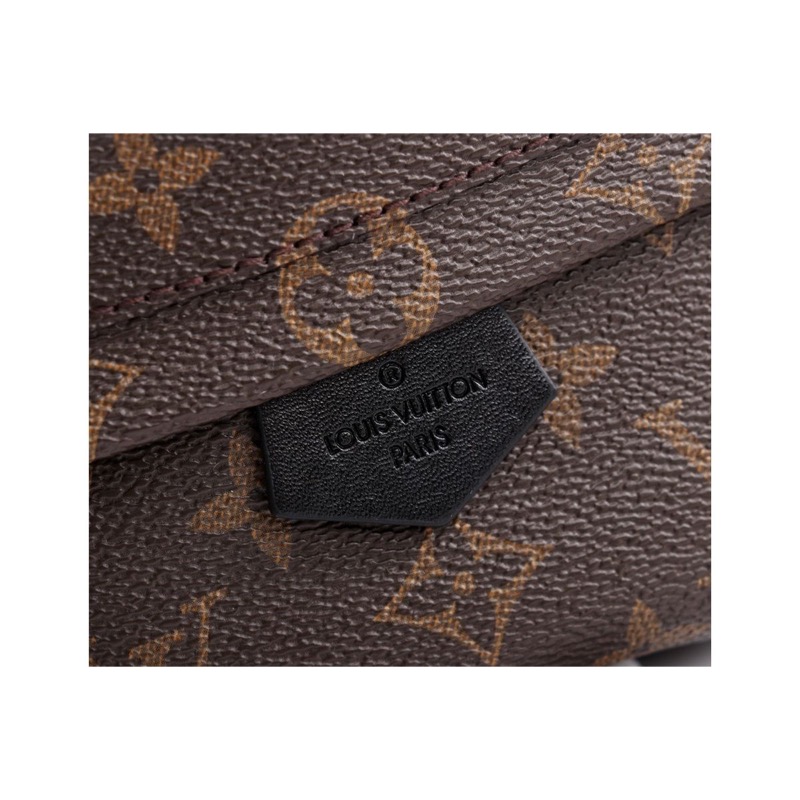 Louis Vuitton Monogram Backpack