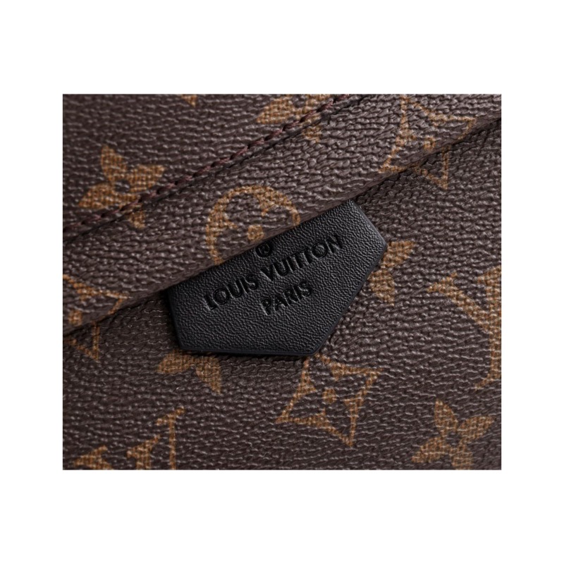 Louis Vuitton Monogram Backpack