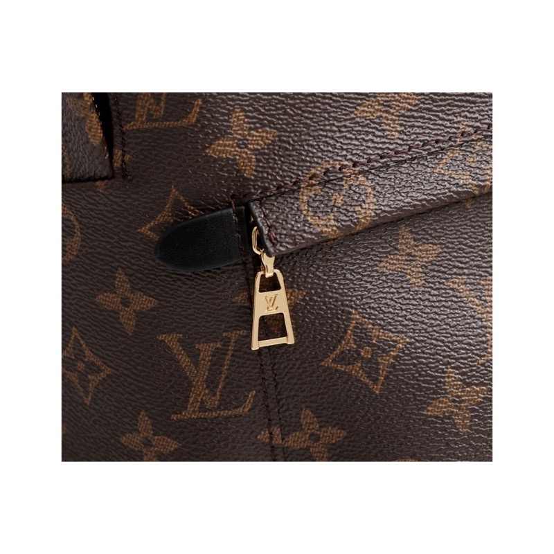 Louis Vuitton Monogram Backpack
