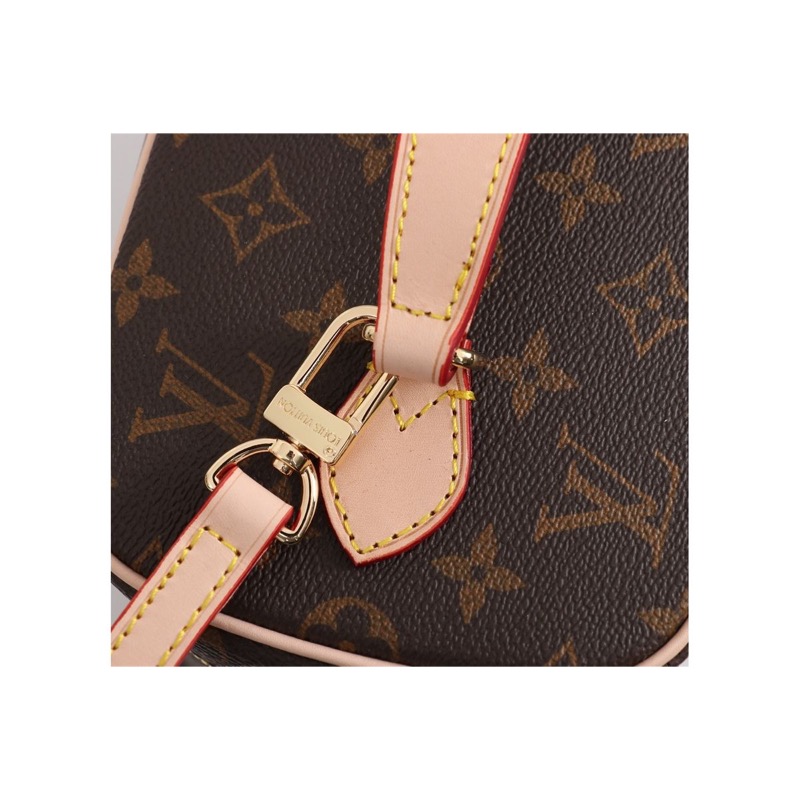 Louis Vuitton Speedy Monogram Bag