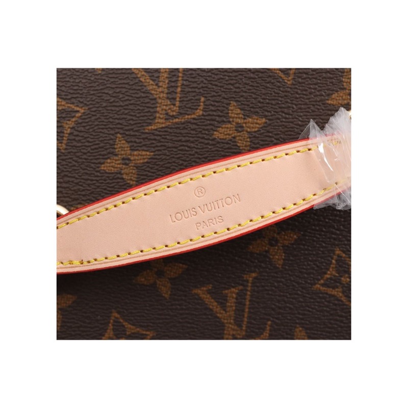 Louis Vuitton Speedy Monogram Bag