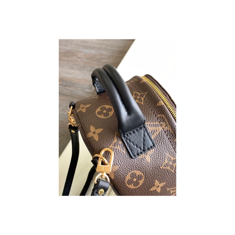 Louis Vuitton Monogram Backpack