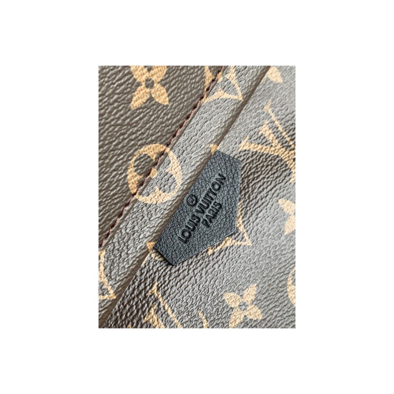 Louis Vuitton Monogram Backpack