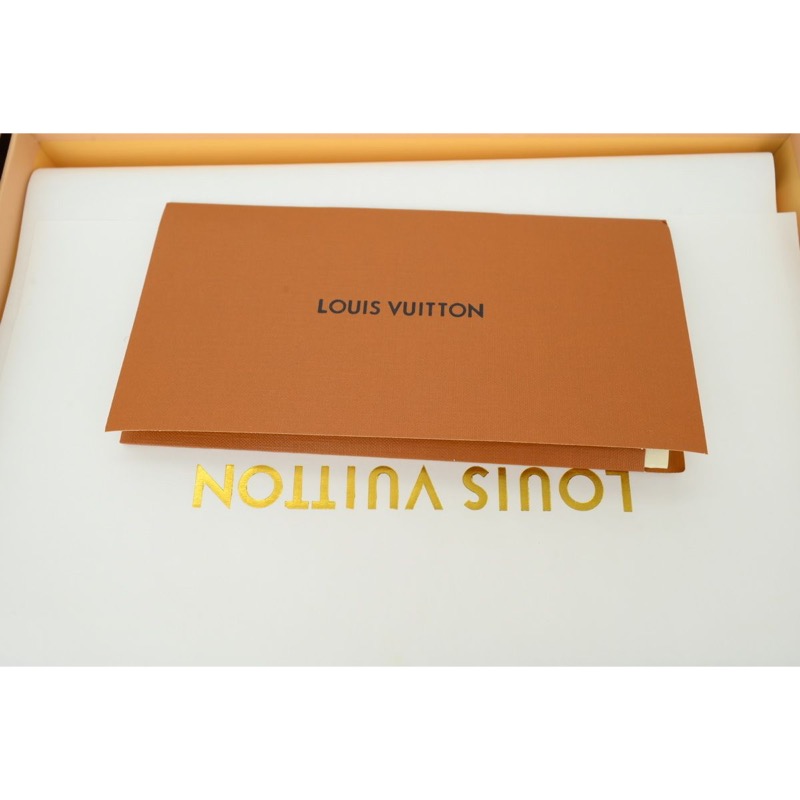 Louis Vuitton Skate Sneaker