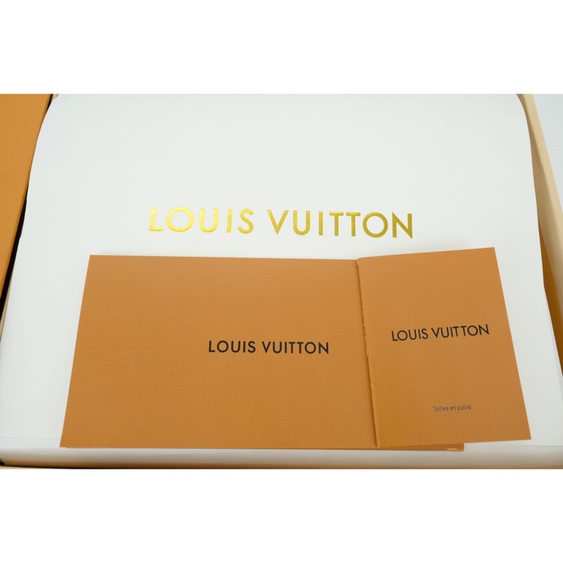 Louis Vuitton Skate Sneaker