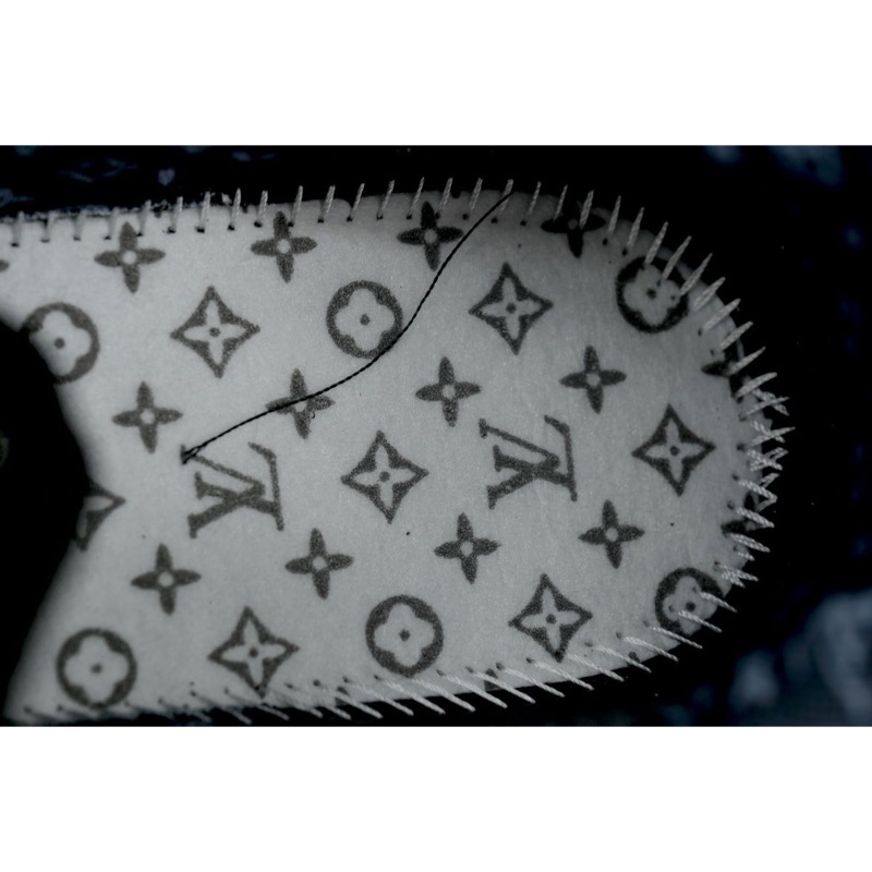 Louis Vuitton Skate Sneaker